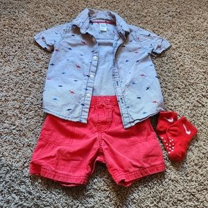 Carter's Toddler Boy Dinosaur Button Down Shirt and Short Set 24 months